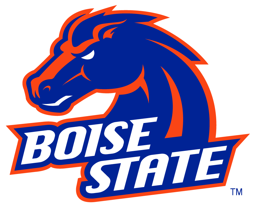 Boise State Broncos 2002-2012 Alternate Logo v2 diy iron on heat transfer